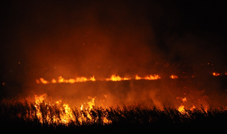 Delta’da çıkan yangın devam ediyor