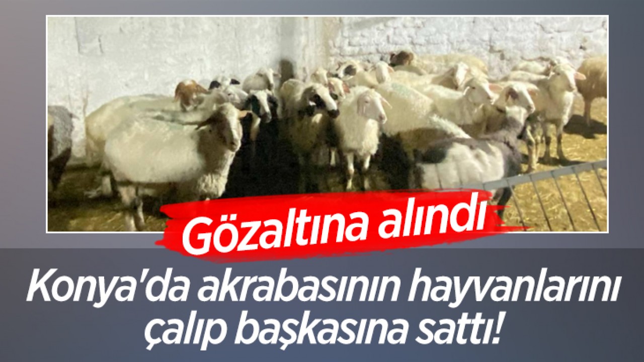 Konya’da akrabasının hayvanlarını çalıp başkasına sattı! Gözaltına alındı